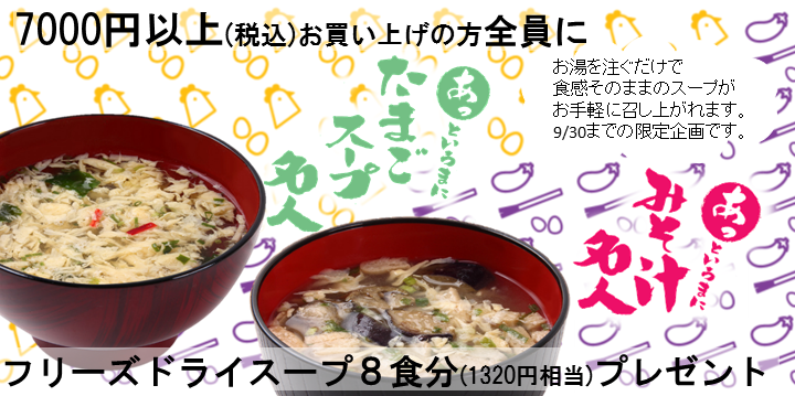 FDプレゼント